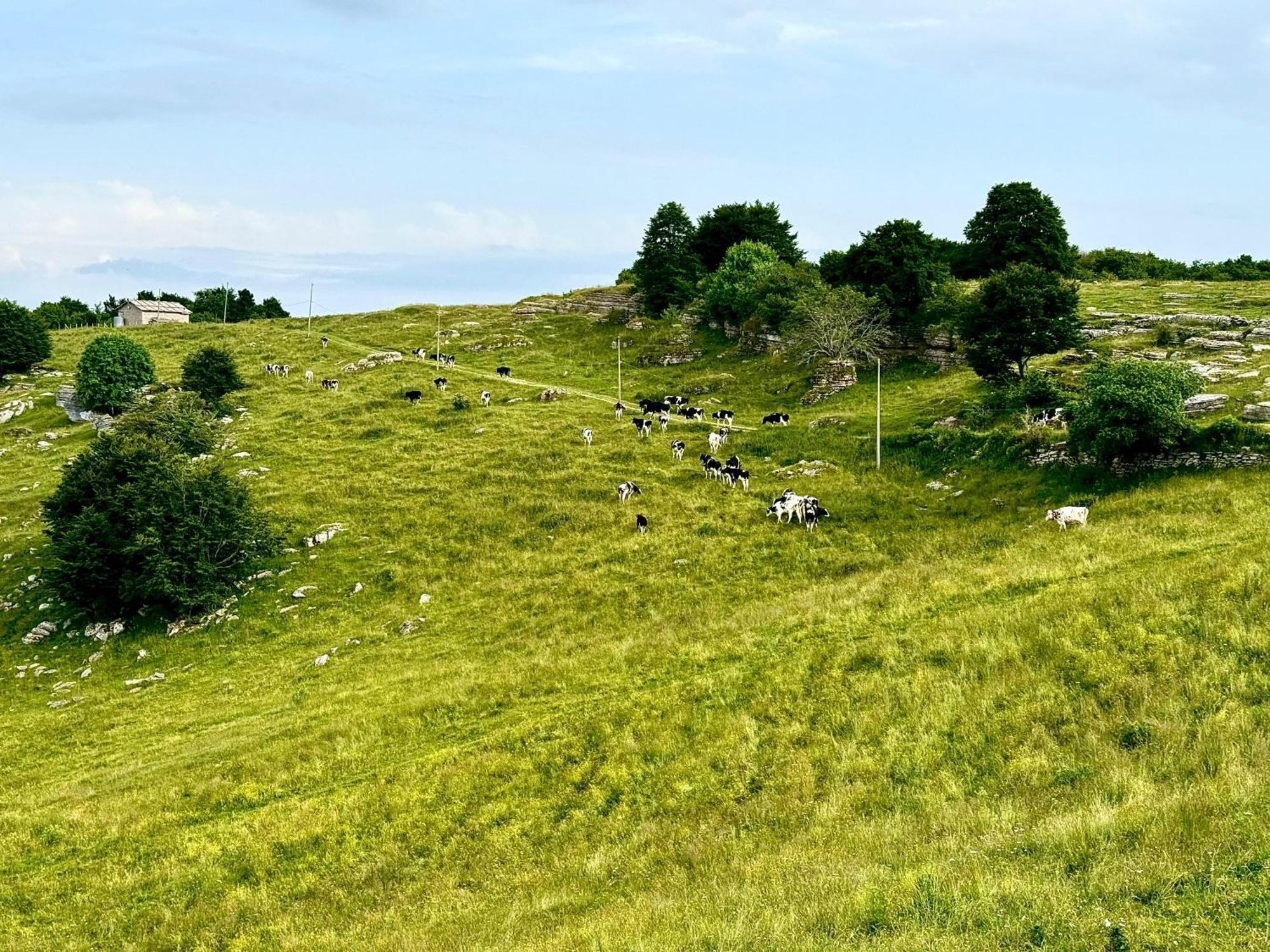 Vila Agriturismo Malga Rambalda Selvavecchia Exteriér fotografie